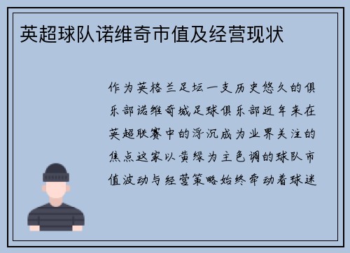 英超球队诺维奇市值及经营现状