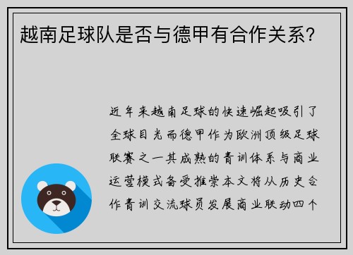 越南足球队是否与德甲有合作关系？