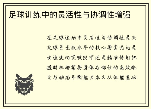 足球训练中的灵活性与协调性增强